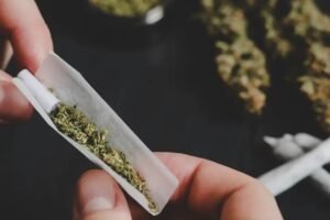 existe-um-limite-para-consumo-seguro-de-maconha?-novo-estudo-responde