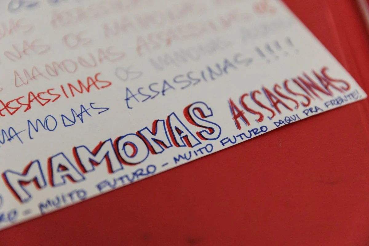 Cinzas dos Mamonas são unidas a sementes de árvores em nova homenagem - imagem 17