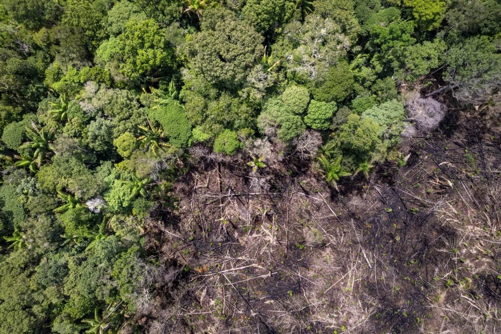 Desmatamento no Acre aumenta 50% enquanto Amazônia registra queda geral de 38%