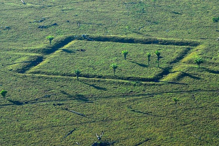 MPF firma acordos para compensar danos a geoglifos amazônicos no Acre