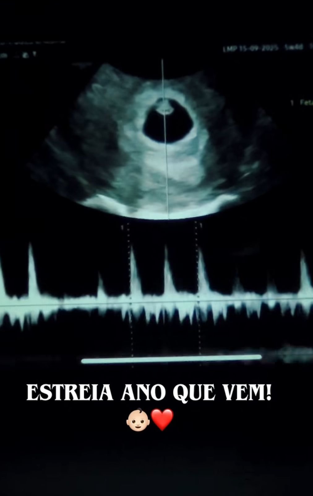Foto/Instagram/@dra.laiscaldas