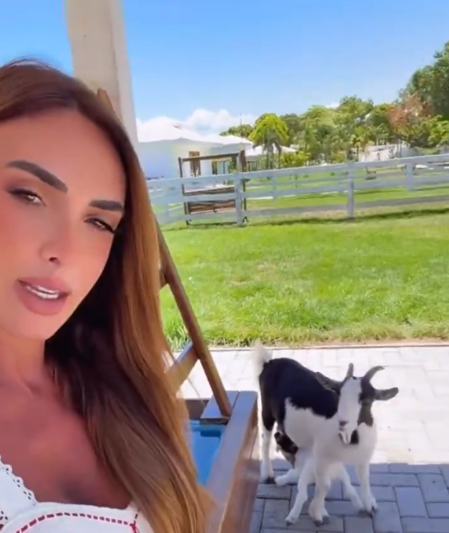 Crédito: Reprodução X @nicolebahls