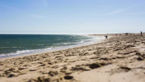 Oceanos batem recorde de calor em julho e Europa enfrenta seca extrema